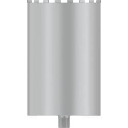 Bosch Accessories 2608601802 2608601802 vrtací korunka 300 mm 1 ks
