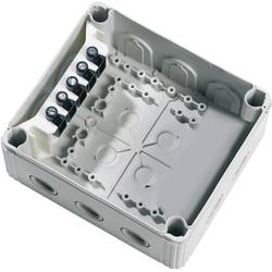 Wiska 10101463 rozbočovací krabice (d x š x v) 160 x 140 x 81 mm černá IP66 / IP67 1 ks
