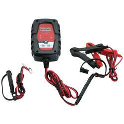 IWH 75905 nabíječka autobaterie 6 V, 12 V 1 A
