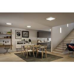 Paulmann Atria Shine 71006 LED stropní svítidlo 22 W neutrální bílá chrom (matný)