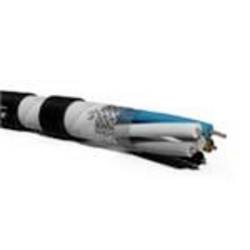 Molex 1554111004 ethernetový síťový kabel 2 x 0.34 mm² fialová 1 ks