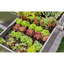 GARDENA Systém Micro-Drip 13455-20 Kompletní zavlažovací set Hebet/beet (35 rostlin) 13 mm (1/2) Ø