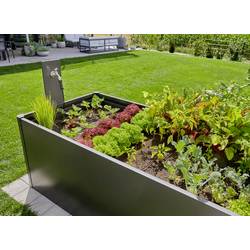 GARDENA Systém Micro-Drip 13455-20 Kompletní zavlažovací set Hebet/beet (35 rostlin) 13 mm (1/2) Ø