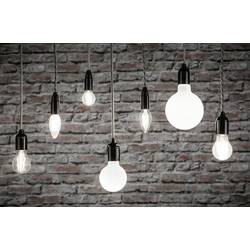 Paulmann 28915 LED Energetická třída (EEK2021) F (A - G) E14 svíčkový tvar 4.8 W = 40 W neutrální bílá (Ø x v) 35 mm x 98 mm 1 ks