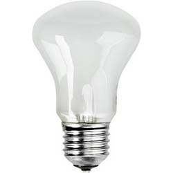 Elinchrom Einstellampe 196V/100W E 27 E23002 nastavení světla