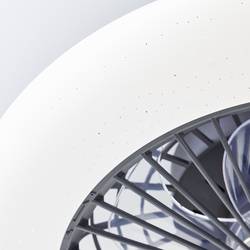 Brilliant G60020/06 Salerno LED stropní světlo s ventilátorem LED modul pevně vestavěné LED 40 W černá