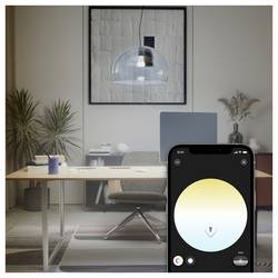 Philips LED žárovka 929003854808 Energetická třída (EEK2021): D (A - G) Hue White Amb.