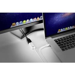 Renkforce Mini-DisplayPort / HDMI kabelový adaptér Mini DisplayPort konektory, Zástrčka HDMI-A 0.50 m bílá RF-3697532 pozlacené kontakty Kabel DisplayPort