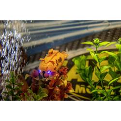 Carson RC Sport XS Deep Sea Dragon RC model ponorky pro začátečníky 100% RtR