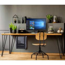 SpeaKa Professional držák na PC zavěšený na stěně CPB-2 SP-7571908 černá Zatížitelný do hmotnosti=10 kg
