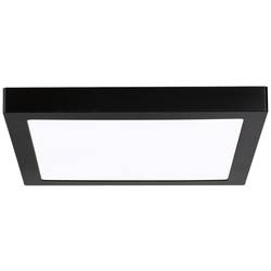 Paulmann 71026 Abia LED stropní svítidlo LED pevně vestavěné LED 22 W černá