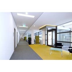 Deko Light Standard Sano 100158 LED panel Energetická třída (EEK2021): D (A - G) 33.0 W neutrální bílá bílá