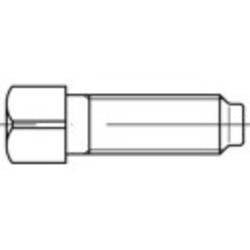 TOOLCRAFT 107946 čtyřhranné šrouby M8 25 mm čtyřhran DIN 479 ocel 100 ks