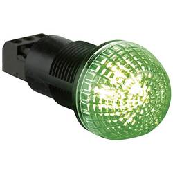 Auer Signalgeräte signální osvětlení LED IDS 800626405 červená, zelená vícebarevný trvalé světlo 24 V/DC, 24 V/AC