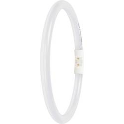 LEDVANCE LED trubice Energetická třída (EEK2021): D (A - G) zářivkový tvar T5 11.6 W denní bílá (Ø x d) 16.50 mm x 225.00 mm 1 ks
