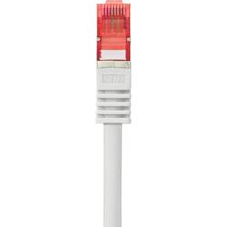 Renkforce RF-4724288 RJ45 síťové kabely, propojovací kabely CAT 6 1.00 m šedá s ochranou, pozlacené kontakty, samozhášecí 1 ks