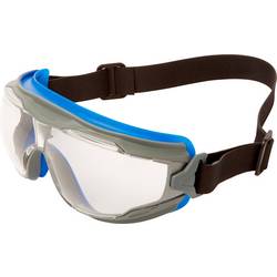 3M Goggle Gear 500 GG501NSGAF-BLU uzavřené ochranné brýle vč. ochrany proti zamlžení modrá, šedá EN 166 DIN 166