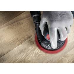 Bosch Accessories 2608902414 brusný kotouč Průměr 125 mm Zrnitost=320 50 ks