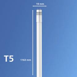 Philips LED LED trubice Energetická třída (EEK2021): D (A - G) G5 zářivkový tvar T5 EVG 17.1 W neutrální bílá (Ø x d) 19 mm x 1163 mm 1 ks