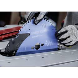 Bosch Accessories 2608902206 2608902206 pilový kotouč Počet zubů (na palec): 48 1 ks