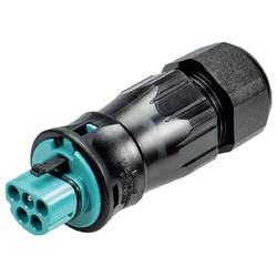 Wieland Electric 96.052.4553.6 konektor
