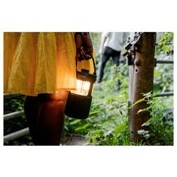 Pure Woodland Glow Green EU/UK/AUS Bluetooth® reproduktor zelená