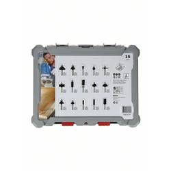 Sada fréz, 6 mm dřík, 15 ks Bosch Accessories 2607017471