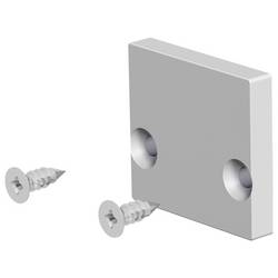 EVN APF EAP EVN Lichttechnik koncová krytka profilu (d x š) 3 mm x 18.50 mm 1 ks
