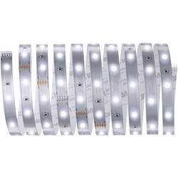 Paulmann MaxLED Basic Daylight 79856 LED pásek základní sada konektor 24 V 3 m denní bílá 1 ks