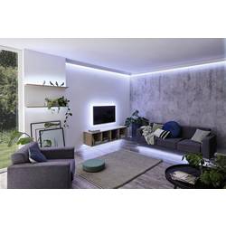 Paulmann MaxLED Basic Daylight 79856 LED pásek základní sada konektor 24 V 3 m denní bílá 1 ks