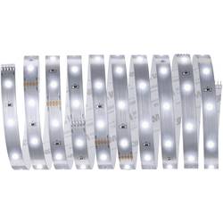 Paulmann MaxLED Basic Daylight 79856 LED pásek základní sada konektor 24 V 3 m denní bílá 1 ks