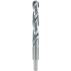 RUKO 2004120 DIN 338 Typ N HSS-G spirálový vrták 12 mm Celková délka 151 mm silně legováno DIN 338 válcová stopka 1 ks