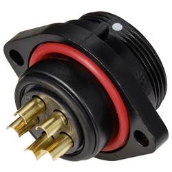 Weipu SP2113 / S 5 kulatý faston, 1 ks