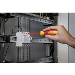 Bosch Professional 1600A02NC8 VDE TX šroubovák Velikost šroubováku TX 25 Délka dříku: 100 mm DIN EN 60900 1 ks