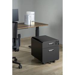 SpeaKa Professional Kontejnery na kolečkách SP-MFC-001 černá (matná) (š x v x h) 39.4 x 50 x 49.7 mm 1 ks SP-13497416