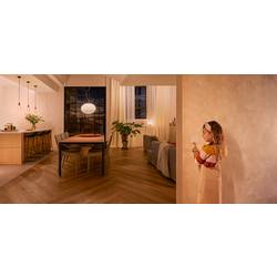 Philips Hue Hue nástěnný spínač , modul 871951431804500 Hue Wandschalter Modul