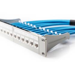Digitus DN-91419 10 palec přední deska pro datové skříně šedobílá (RAL 7035)