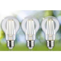 Paulmann 29132 LED Energetická třída (EEK2021) A (A - G) E27 4 W teplá bílá (Ø x v) 60 mm x 105 mm 3 ks