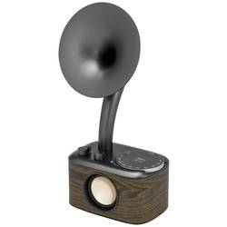 Sangean WR-45 Black A500432 stolní rádio, FM, AUX, Bluetooth, s akumulátorem, černá