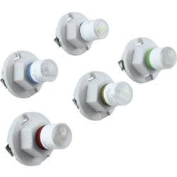 Signal Construct MWTB8444 indikační LED modrá B8.0-12 (EBSR/BAX) (podobná) 24 V/AC, 24 V/DC 300 mcd