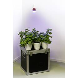 Venso lampa na rostliny 113 mm 230 V E27 7 W neutrální bílá klasická žárovka 1 ks