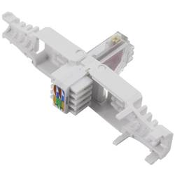 TRU COMPONENTS Konektor RJ45, Cat 6 zástrčka, rovná Počet pólů 8 šedá 1 ks