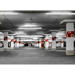 Sygonix LED světlo do vlhkých prostor LED trubice T8 22 W neutrální bílá šedá translucidní