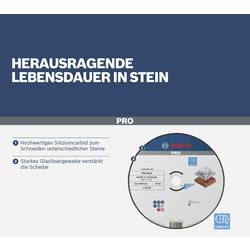 Bosch Accessories 2608603176 2608603176 řezný kotouč lomený 230 mm 1 ks kámen