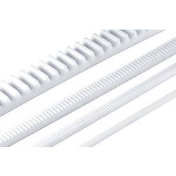 polyacetalová pryskyřice Reely Typ modulu: 0.5 (d x š x v) 250 x 4 x 4.5 mm