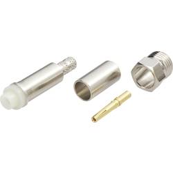 Amphenol FME6121B1-ND3G-1-50 FME6121B1-ND3G-1-50 FME konektor zásuvka, rovná 50 Ω 1 ks Piece