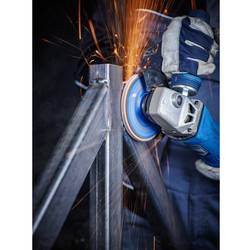 PFERD TOOLS 67786125 Z Sg Power Steelox vějířovitý brusný kotouč Průměr 125 mm Ø otvoru 22.23 mm Zrnitost 60 10 ks