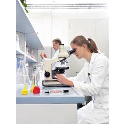 Edding 8015F 4-8015 laboratorní popisovač černá Vodotěsné: Ano