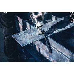 Bosch Accessories 2608657932 Pilový plátek do pily ocasky S 1130 CF - Endurance for Heavy Metal 25 ks