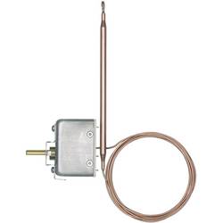 Jumo 60000494 2bodový regulátor termostat 0 do 100 °C relé 16 A